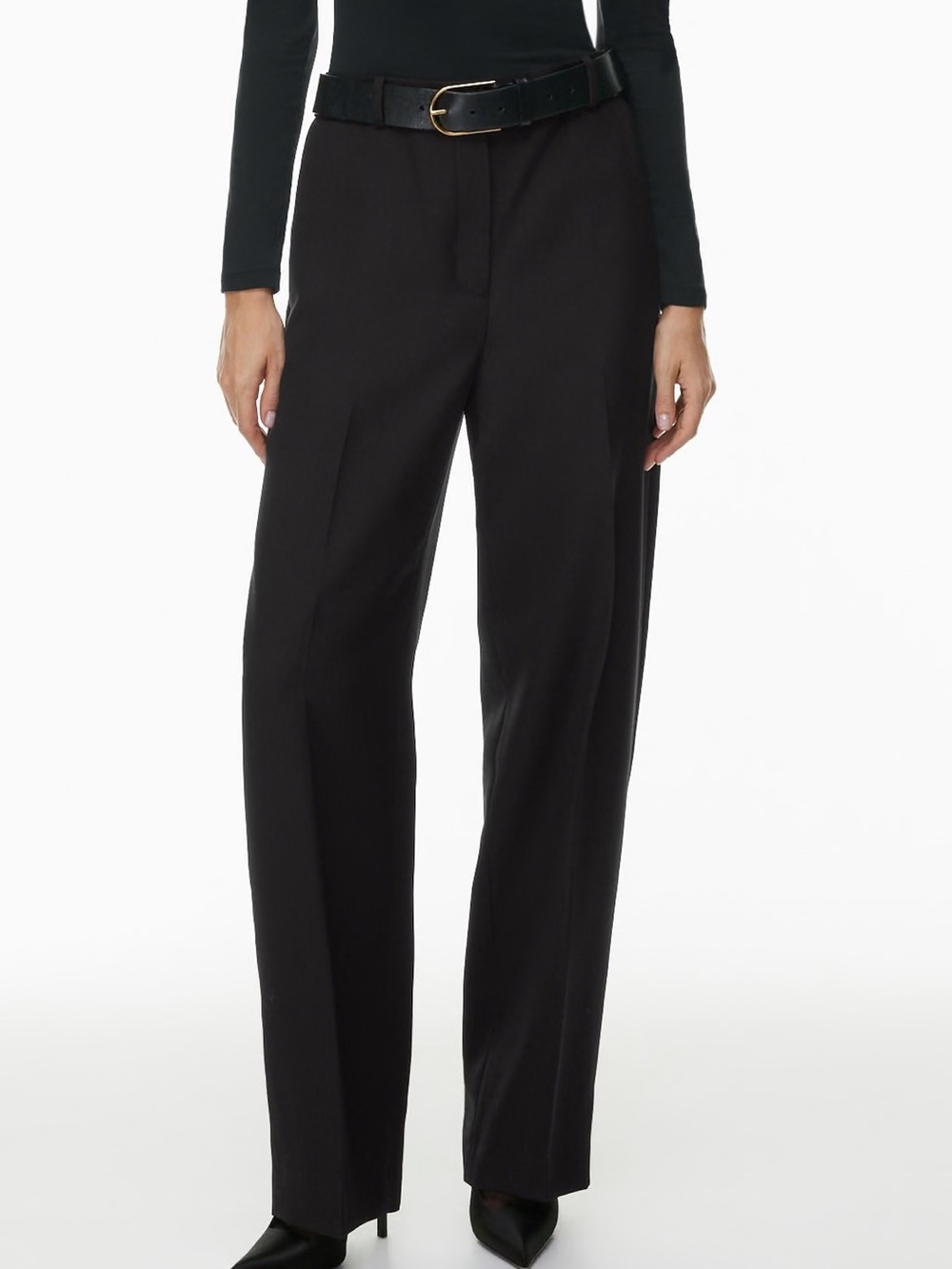 Aritzia Wilfred Forge Pants